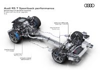 Audi RS7 Sportback performance (2023)