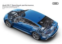 Audi RS7 Sportback performance (2023)