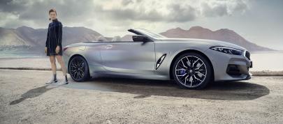 BMW 8-Series Convertible (2023) - picture 4 of 27