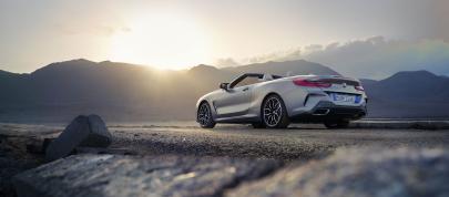 BMW 8-Series Convertible (2023) - picture 12 of 27