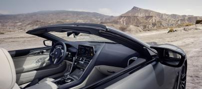 BMW 8-Series Convertible (2023) - picture 23 of 27