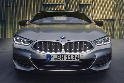 BMW 8-Series Convertible (2023) - picture 1 of 27