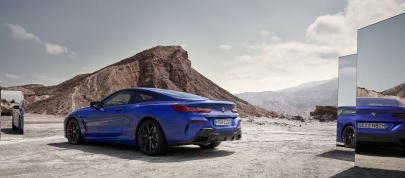BMW 8-Series Coupe (2023) - picture 4 of 22