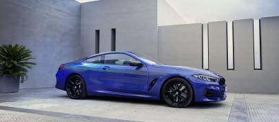 BMW 8-Series Coupe (2023) - picture 7 of 22
