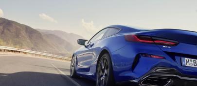 BMW 8-Series Coupe (2023) - picture 15 of 22