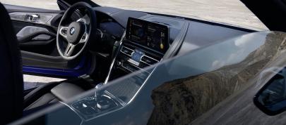 BMW 8-Series Coupe (2023) - picture 20 of 22