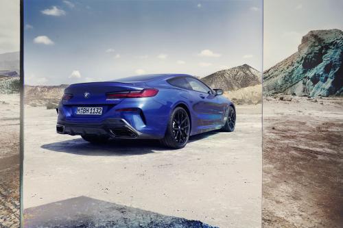 BMW 8-Series Coupe (2023) - picture 9 of 22