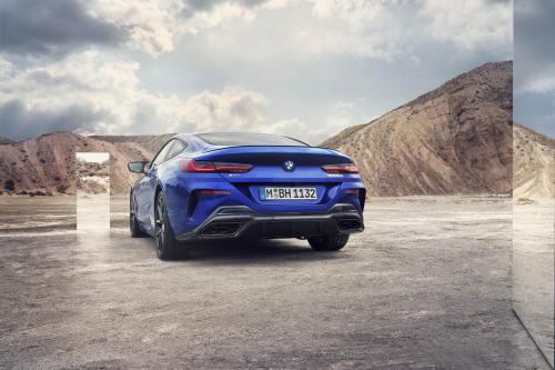 BMW 8-Series Coupe (2023) - picture 17 of 22