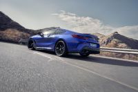 BMW 8-Series Coupe (2023) - picture 5 of 22