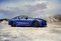 BMW 8-Series Coupe (2023) - picture 10 of 22