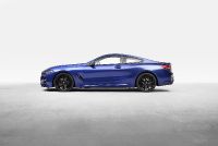 BMW 8-Series Coupe (2023) - picture 14 of 22