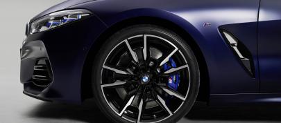 BMW 8-Series Gran Coupe (2023) - picture 23 of 23