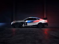 BMW M4 GT4 (2023) - picture 7 of 17