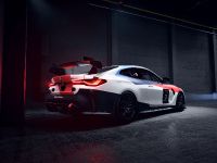 BMW M4 GT4 (2023) - picture 10 of 17