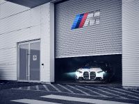 BMW M4 GT4 (2023) - picture 13 of 17