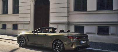 BMW M8 Competition Convertible (2023) - picture 12 of 28