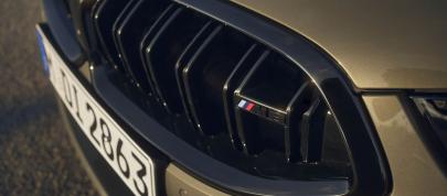 BMW M8 Competition Convertible (2023) - picture 15 of 28
