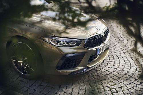 BMW M8 Competition Convertible (2023) - picture 17 of 28