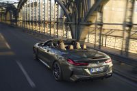 BMW M8 Competition Convertible (2023) - picture 10 of 28