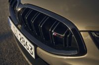 BMW M8 Competition Convertible (2023)