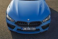BMW M8 Competition Coupe (2023) - picture 19 of 25
