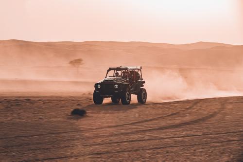 BRABUS 900 CRAWLER (2023) - picture 17 of 95