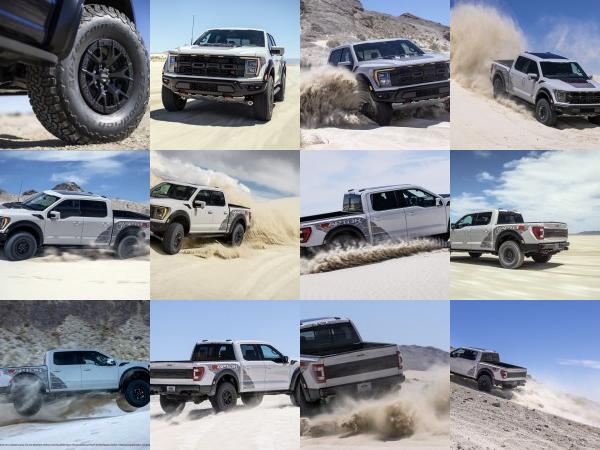 Ford F-150 Raptor R (2023) - picture 13 of 32