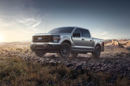 Ford F-150 Rattler (2023) - picture 1 of 4