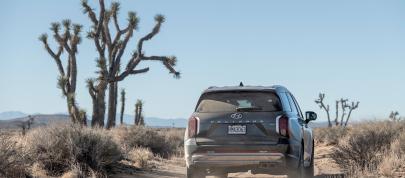 Hyundai Palisade (2023) - picture 20 of 68