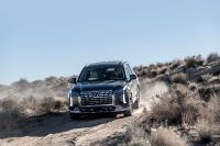 Hyundai Palisade (2023) - picture 11 of 68