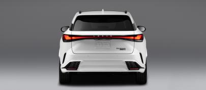 Lexus RX (2023) - picture 4 of 41