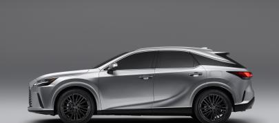 Lexus RX (2023) - picture 7 of 41