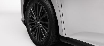 Lexus RX (2023) - picture 15 of 41