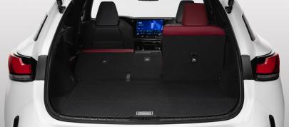 Lexus RX (2023) - picture 28 of 41