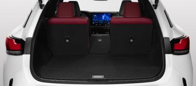 Lexus RX (2023) - picture 31 of 41