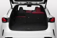 Lexus RX (2023) - picture 27 of 41