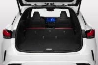 Lexus RX (2023) - picture 29 of 41