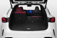 Lexus RX (2023) - picture 30 of 41