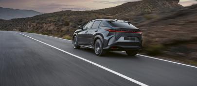 Lexus RZ 450e (2023) - picture 7 of 19