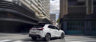 Lexus UXH (2023) - picture 15 of 66