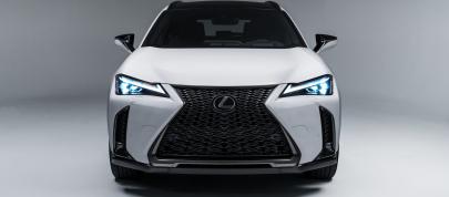 Lexus UXH (2023) - picture 23 of 66