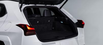 Lexus UXH (2023) - picture 36 of 66