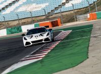 Lotus Emira GT4 (2023) - picture 18 of 22