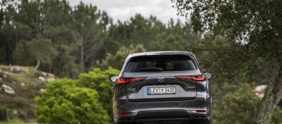Mazda CX-60 (2023) - picture 12 of 94