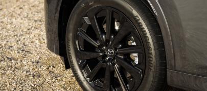 Mazda CX-60 (2023) - picture 15 of 94