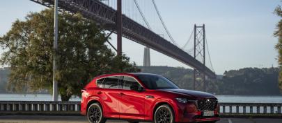 Mazda CX-60 (2023) - picture 28 of 94