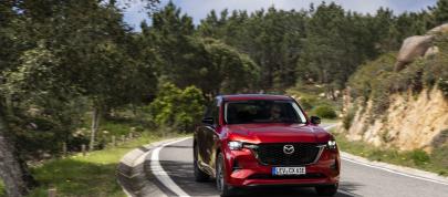 Mazda CX-60 (2023) - picture 31 of 94