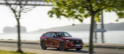 Mazda CX-60 (2023) - picture 36 of 94