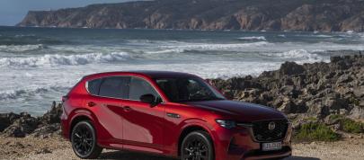 Mazda CX-60 (2023) - picture 44 of 94