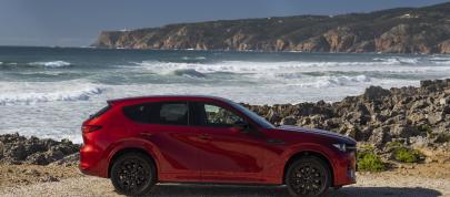 Mazda CX-60 (2023) - picture 47 of 94